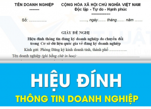 Tư vấn hiệu đính thông tin doanh nghiệp tại Hà Tiên